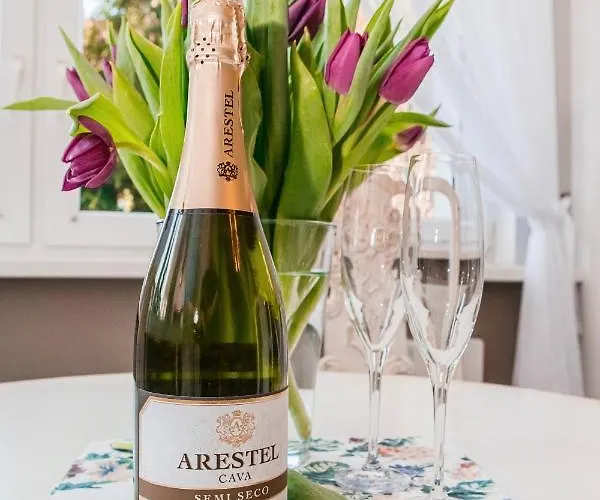 Cherry House Lägenhet Bydgoszcz